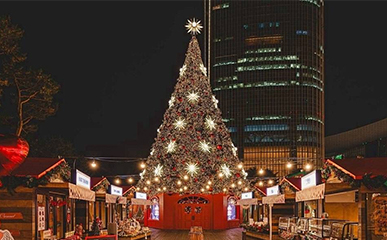 MERRY K-MAS！当季必游圣诞景点