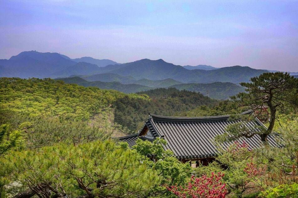 融合传统与现代的特别医疗旅游，大邱和庆尚北道