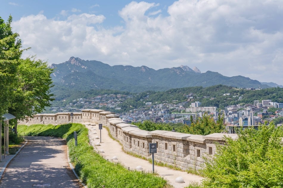 高便利性——整形外科篇