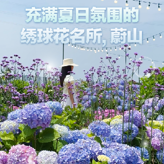 WEIBO