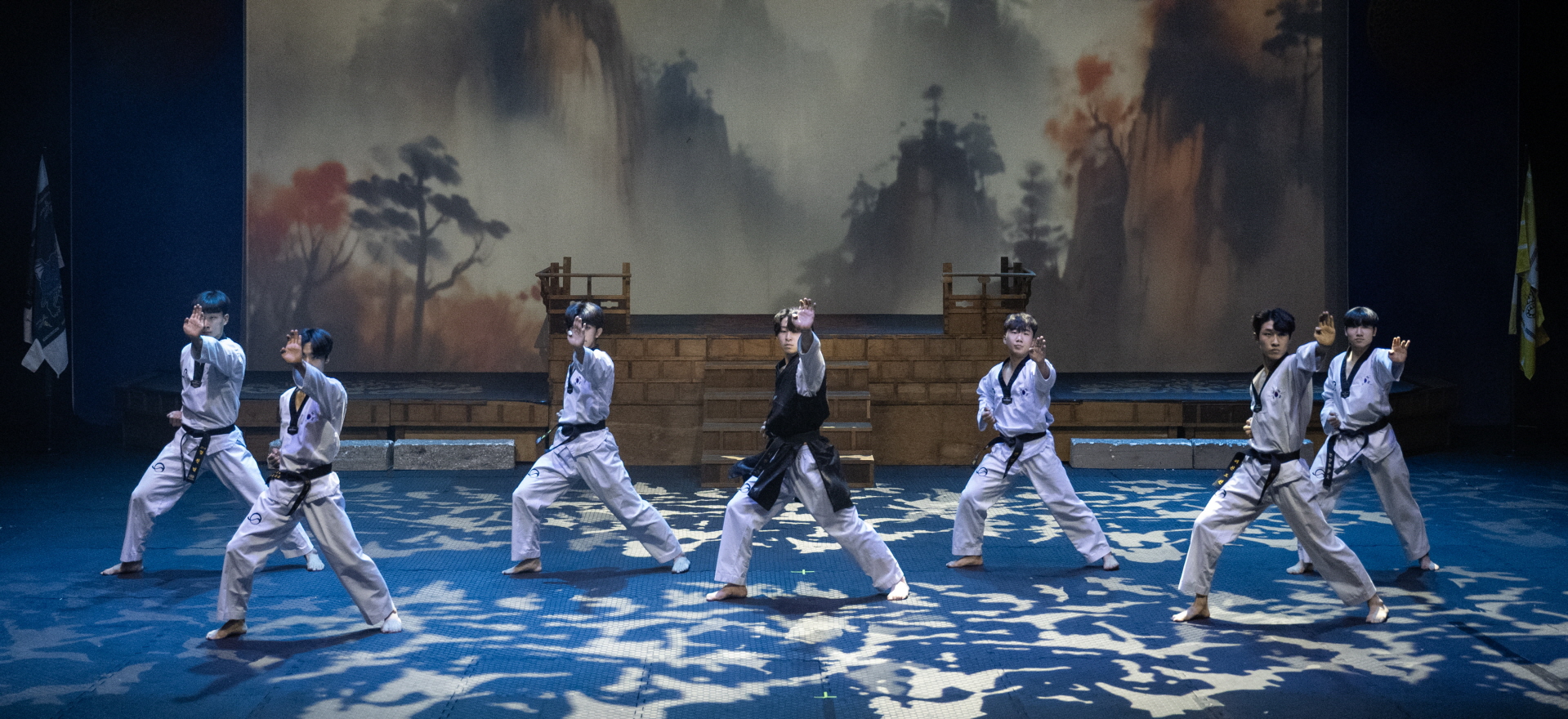 其他演出《Taekwon Beat Final》