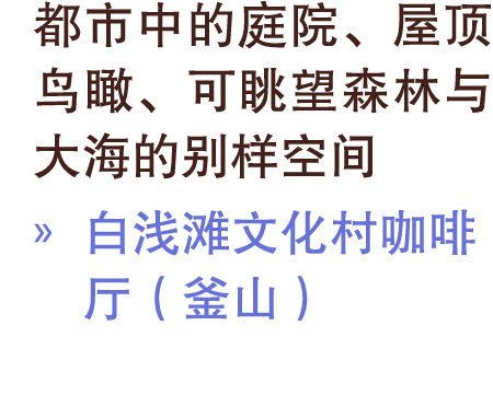 都市中的庭院、屋顶鸟瞰、可眺望森林与大海的别样空间 » 白浅滩文化村咖啡厅（釜山）