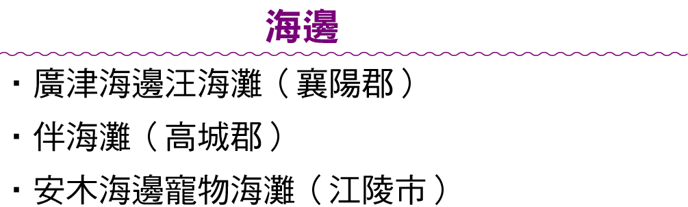 海邊 ‧廣津海邊汪海灘（襄陽郡） ‧伴海灘（高城郡） ‧安木海邊寵物海灘（江陵市）