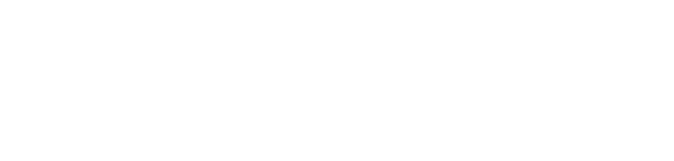 带着宠物出游 宠物旅行