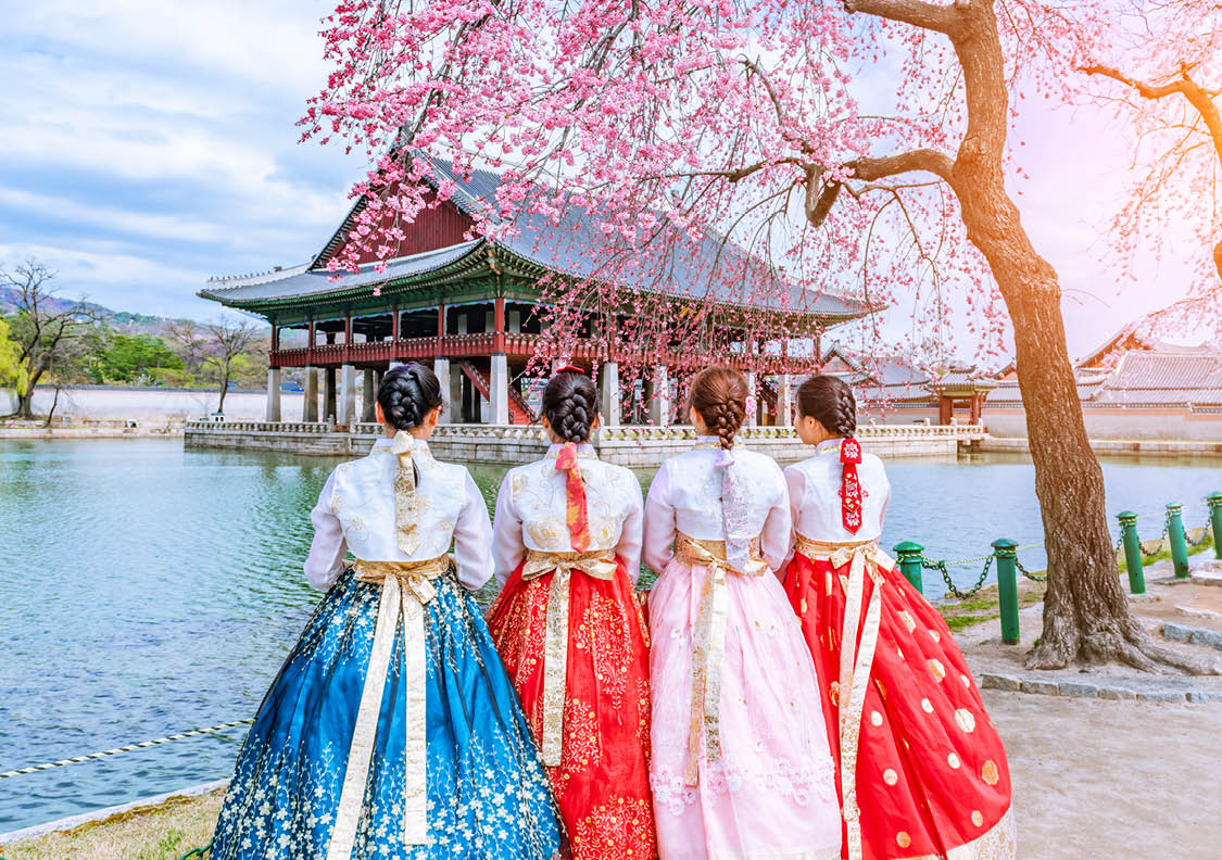 Cherry Blossom with Korean national dress at Gyeongbokgung Palace Seoul,South Korea